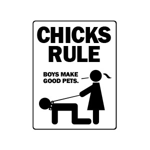 Chicks rule boys make good pets t-shirt
