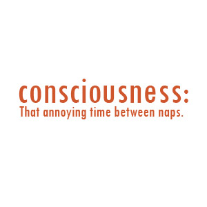 Consciousness - that annoying time between naps t-shirt