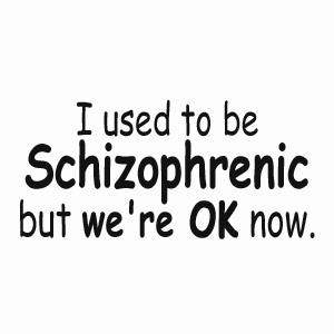 I used to be schizophrenic, but we're ok now, funny t-shirt