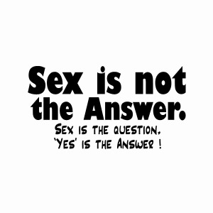 Funny dirty teeshirt, Sex is not the answer, it's the question