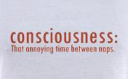 Consciousness that annoying thing between naps, funny t-shirt