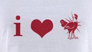 I love cock i heart cock rooster funny t-shirts for women