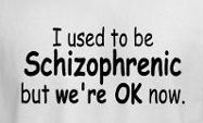 I used to be a schizophrenic but we're ok now, funny crazy t-shirt