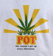 Pot the reason i get up every afternoon, funny weed t-shirt